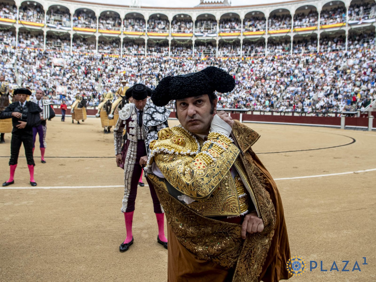 Toros listos para la corrida con Morante, Urdiales y El Mene en la Feria del Pilar en Zaragoza