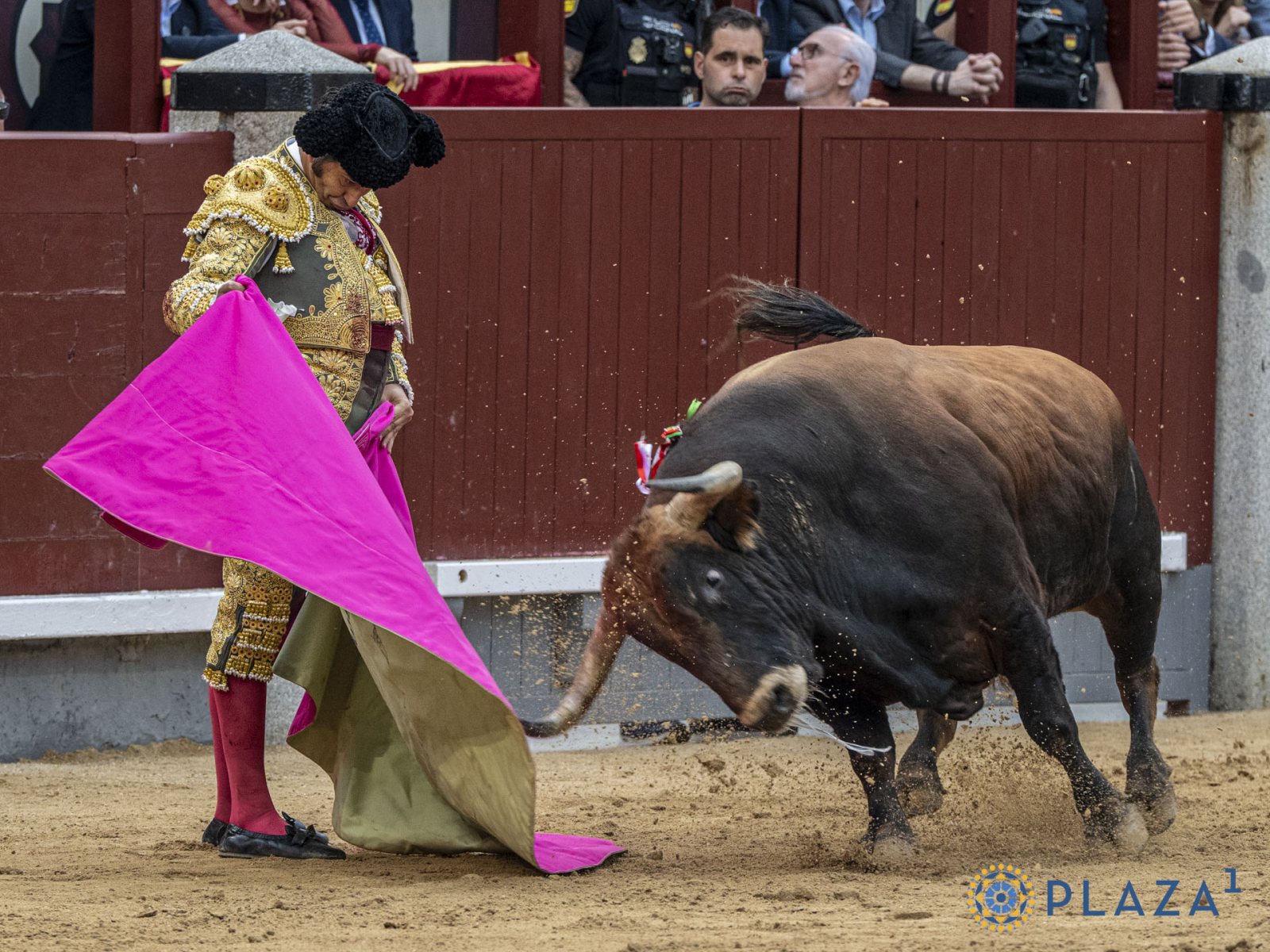 Festejo en Zaragoza termina en desilusión con toros ausentes y bronca al matador Morante