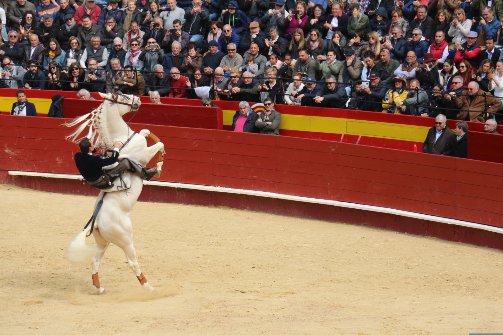 Diego Ventura y Rui Fernandes destacan en la corrida de Zaragoza