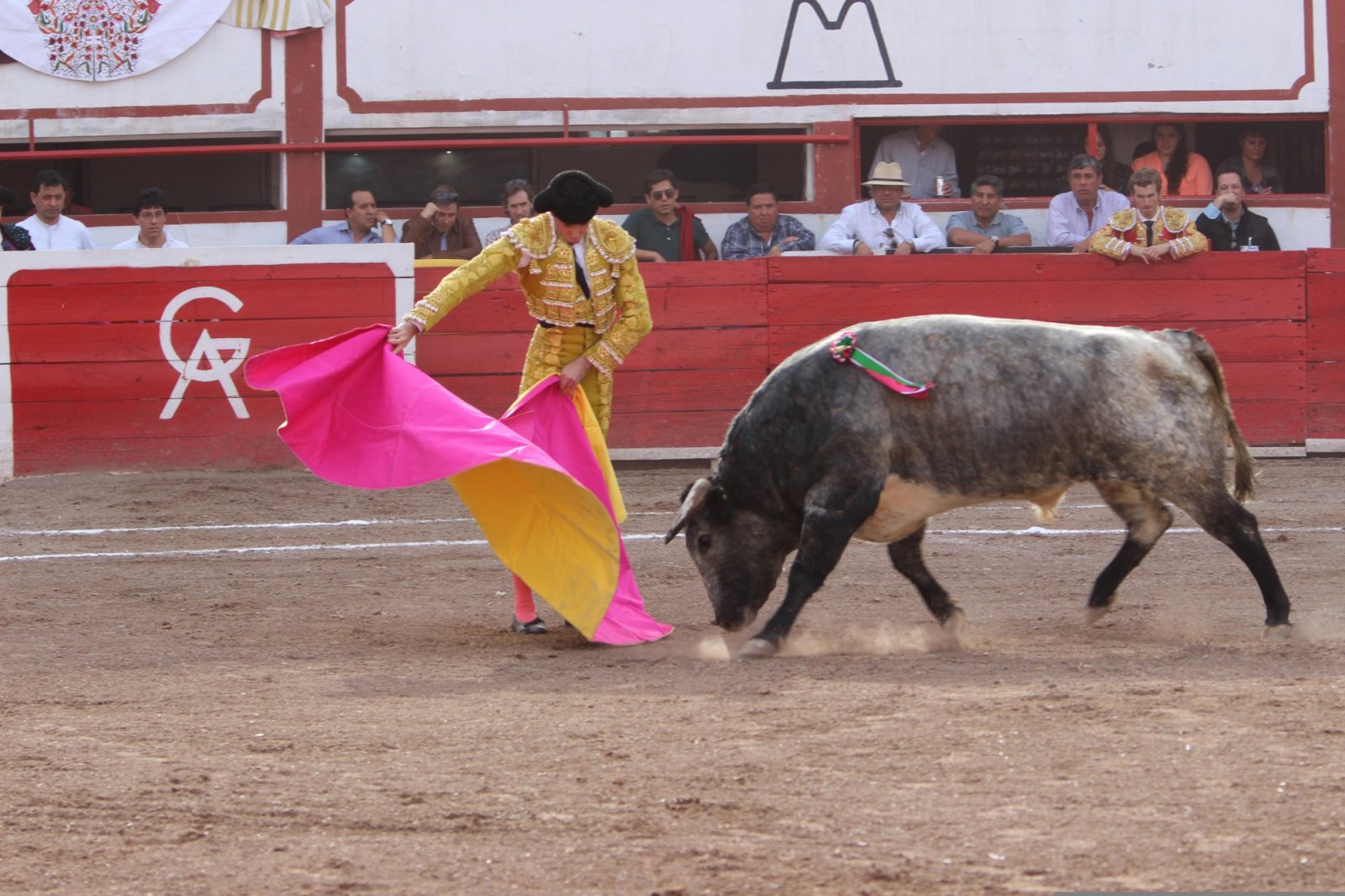 Marco Pérez, galardonado con el premio a la ‘Mejor Faena’ de la Feria de Salamanca por su triunfo con ‘Vanidoso’